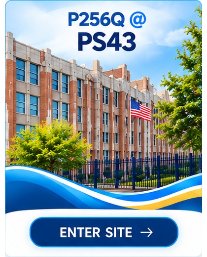 P256Q at PS43. Enter site.
